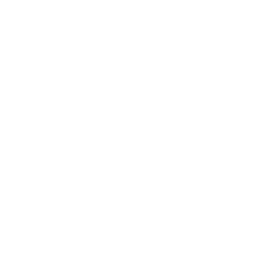 Producer 4